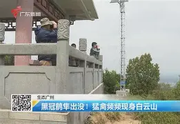 歗LrNC蕍?{隼?楆|!?Kv!的简单介绍-开云网站